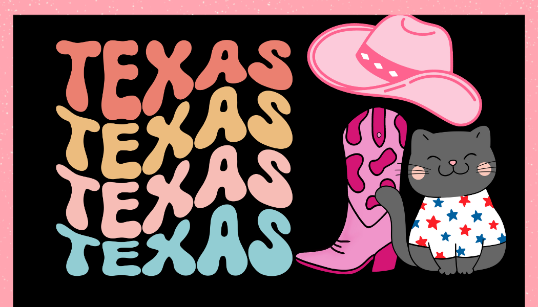 Texas Texas Texas luggage tag