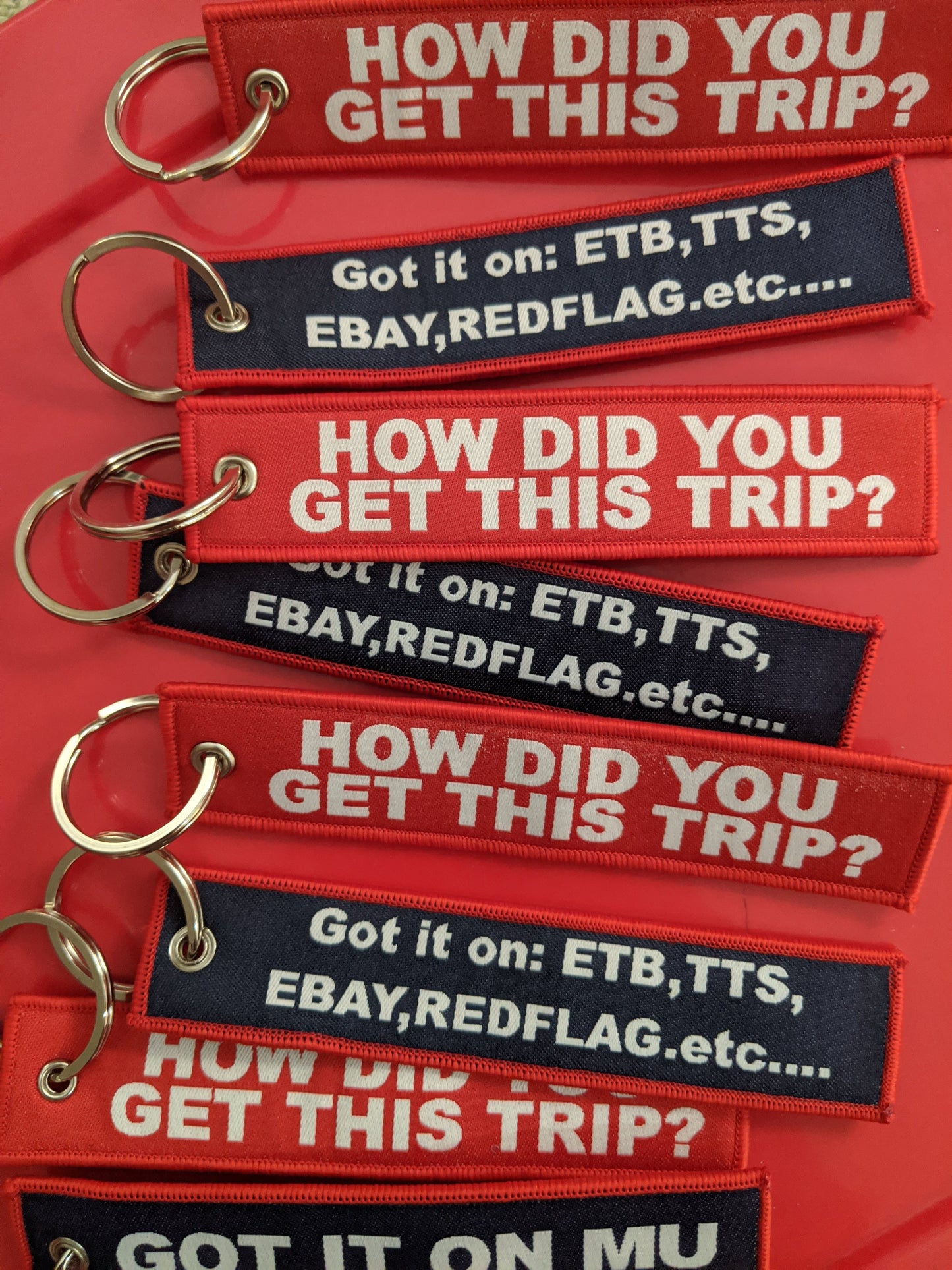 HOW DID YOU GET THIS TRIP? Luggage Tag